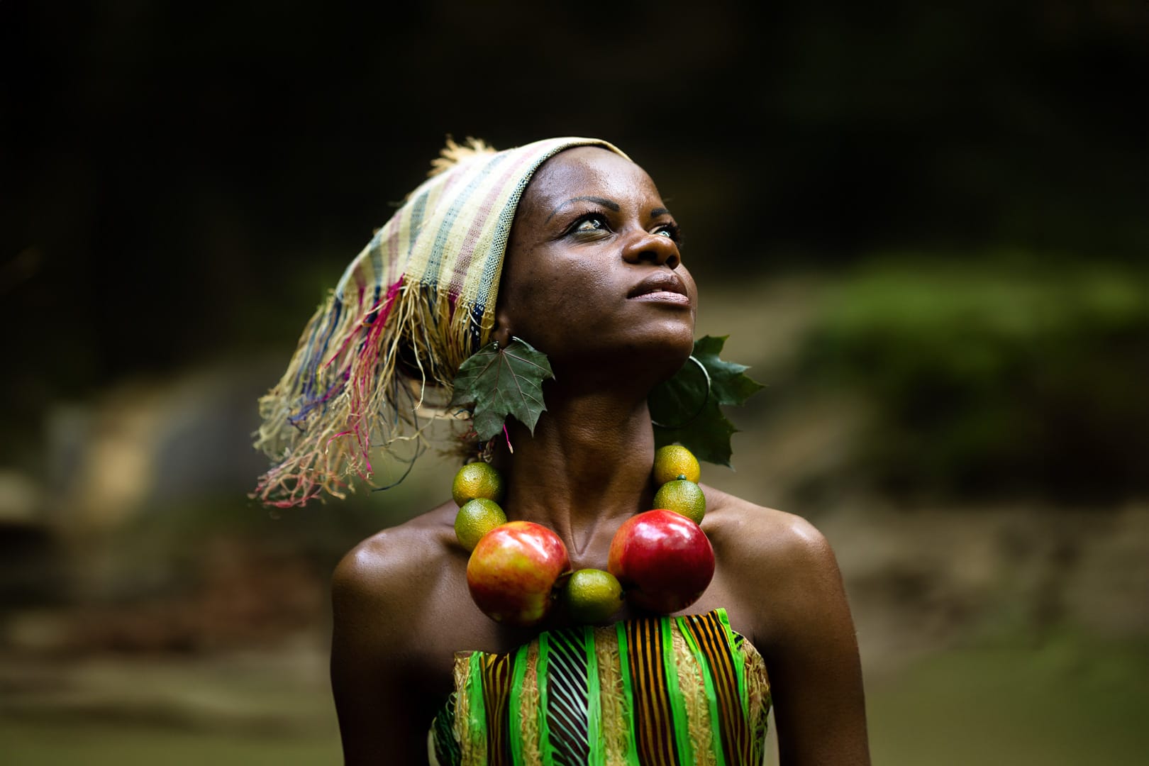 Sylvain Perrier Photographe — Portfolio Signature